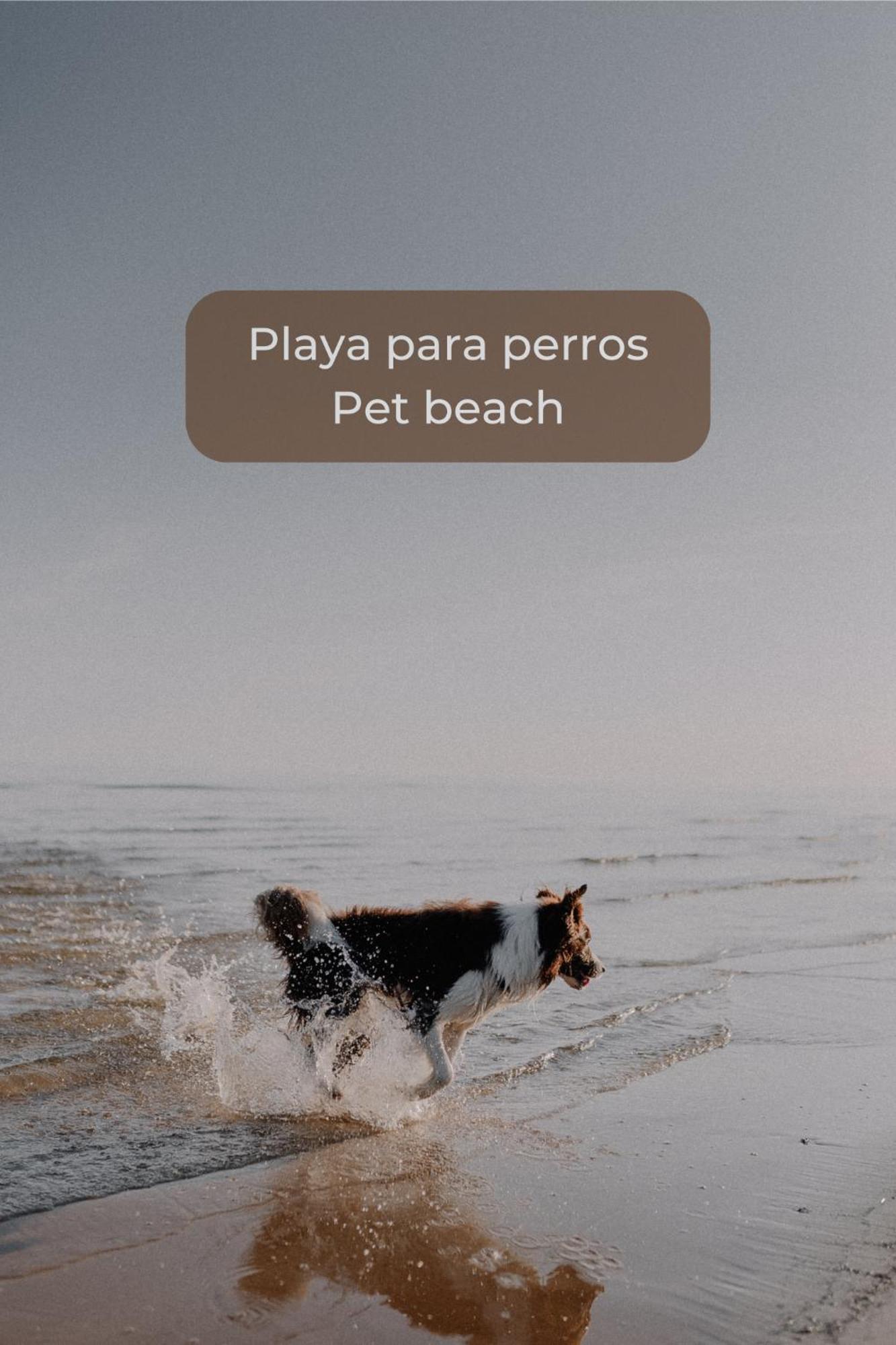 Canelita Con Piscina, Soleada Terraza Amplia Wifi Y Parking Corralejo Kültér fotó